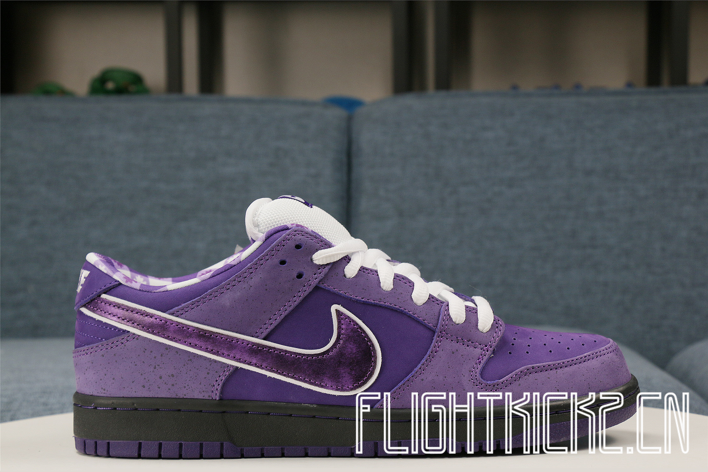 Nike Sb Dunk Low Pro Og Qs Purple Lobster(LN5 A1 Batch)