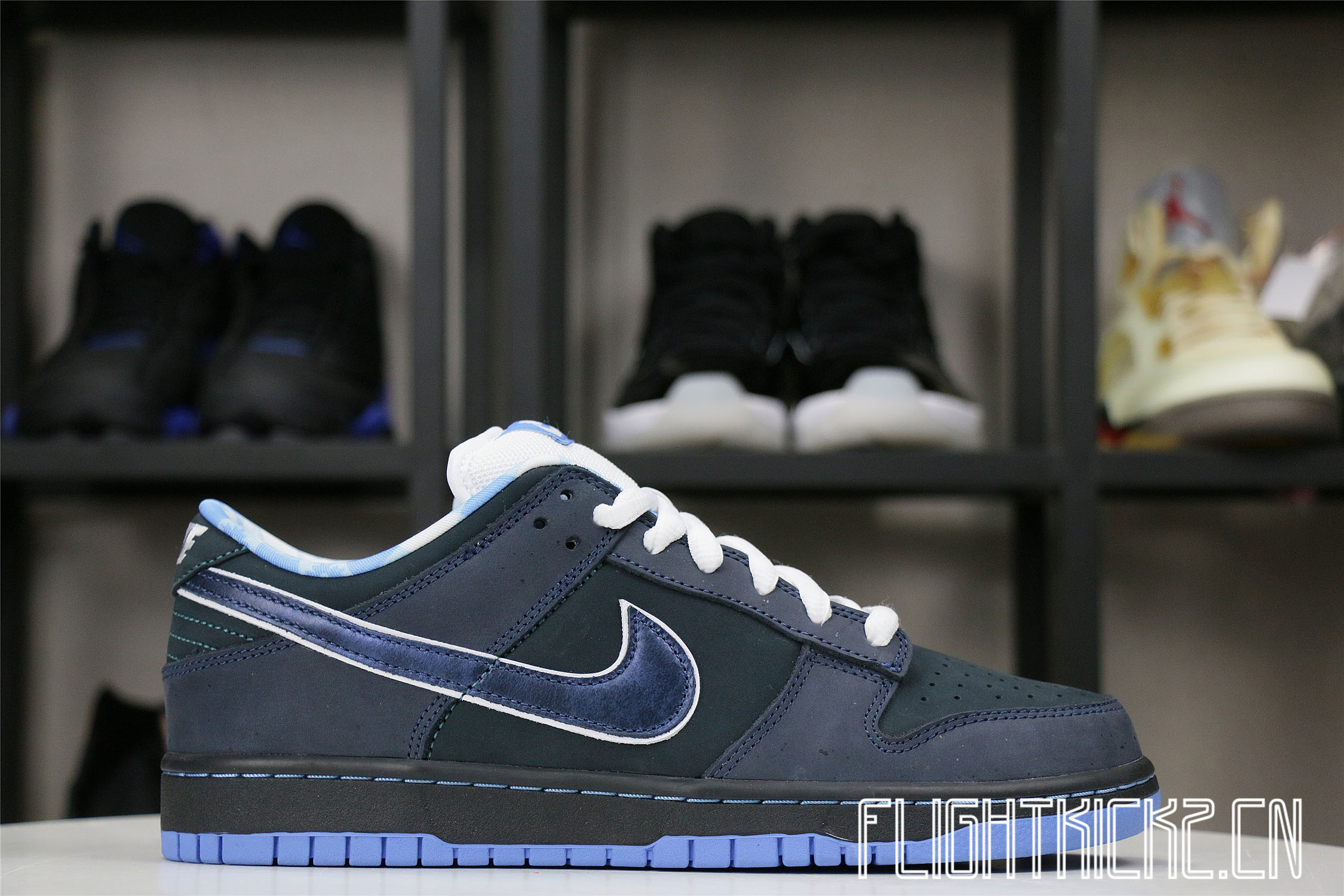 Nike Dunk SB Low Blue Lobster