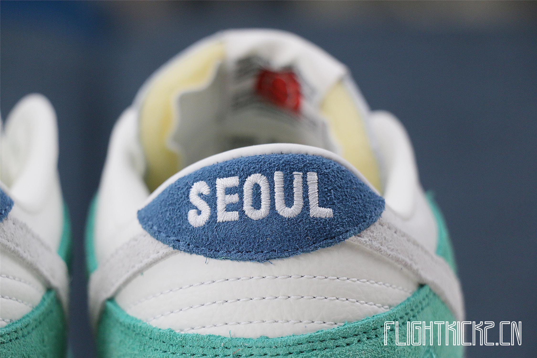 Nike Dunk Low Kasina Neptune Green