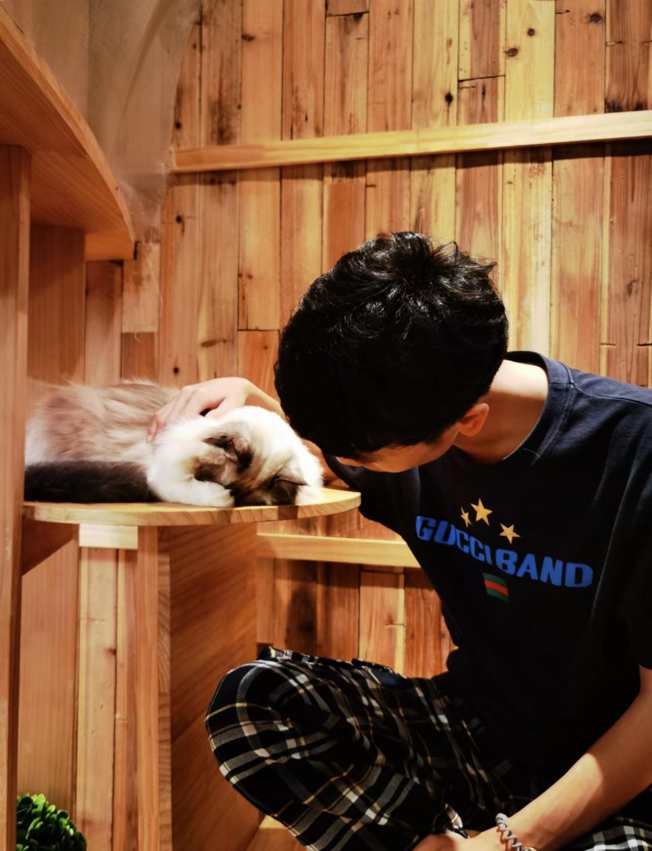 Guc1 BAND star embroidery short sleeves