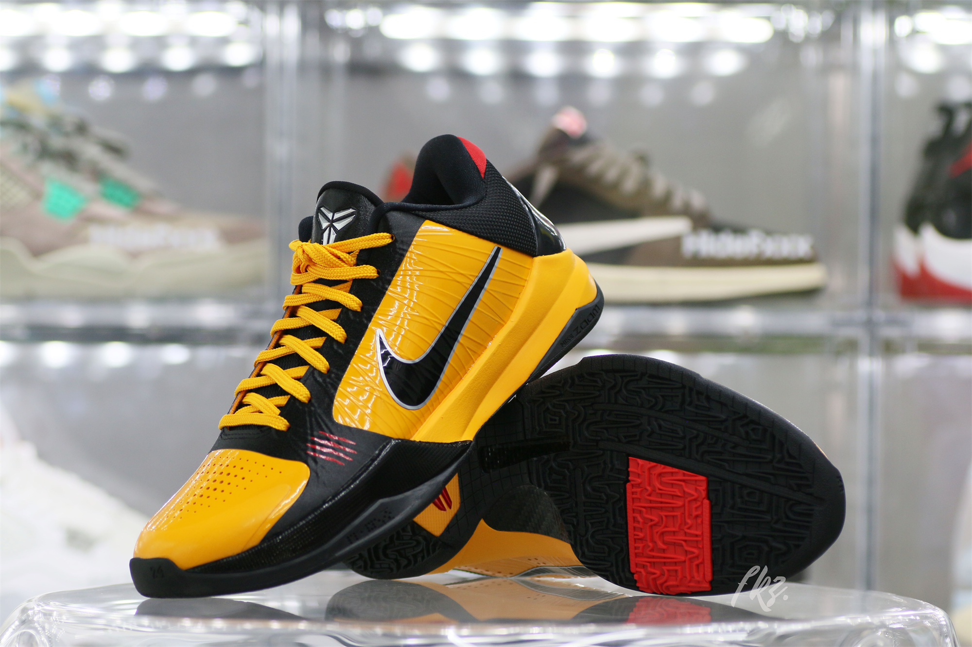 Nike Kobe 5 Protro Bruce Lee (Up to Size 14）(A1 Batch)