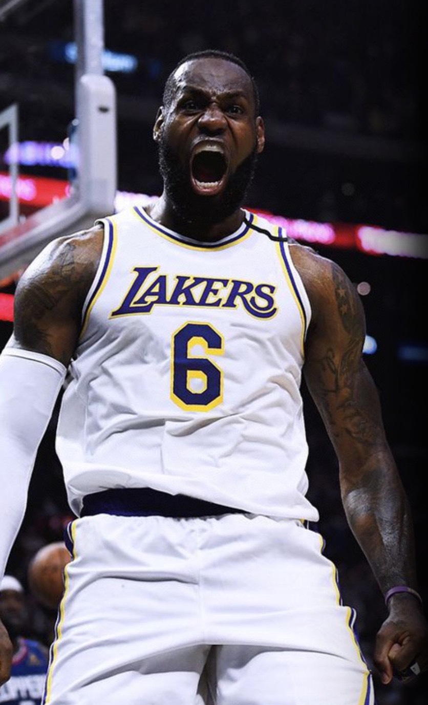 Nk NBA Lakers James James No. 6 jersey