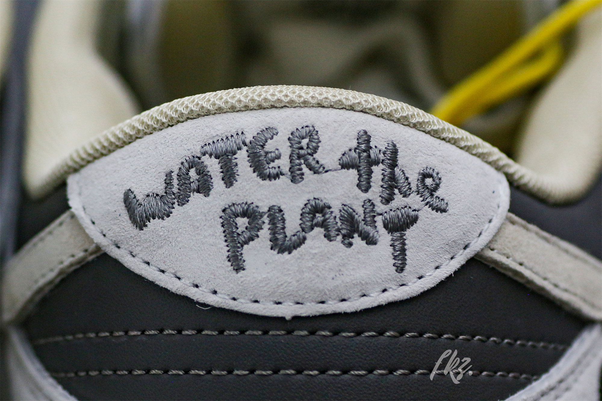 Water The Plant Dunk “Truffle Reverse Mocha