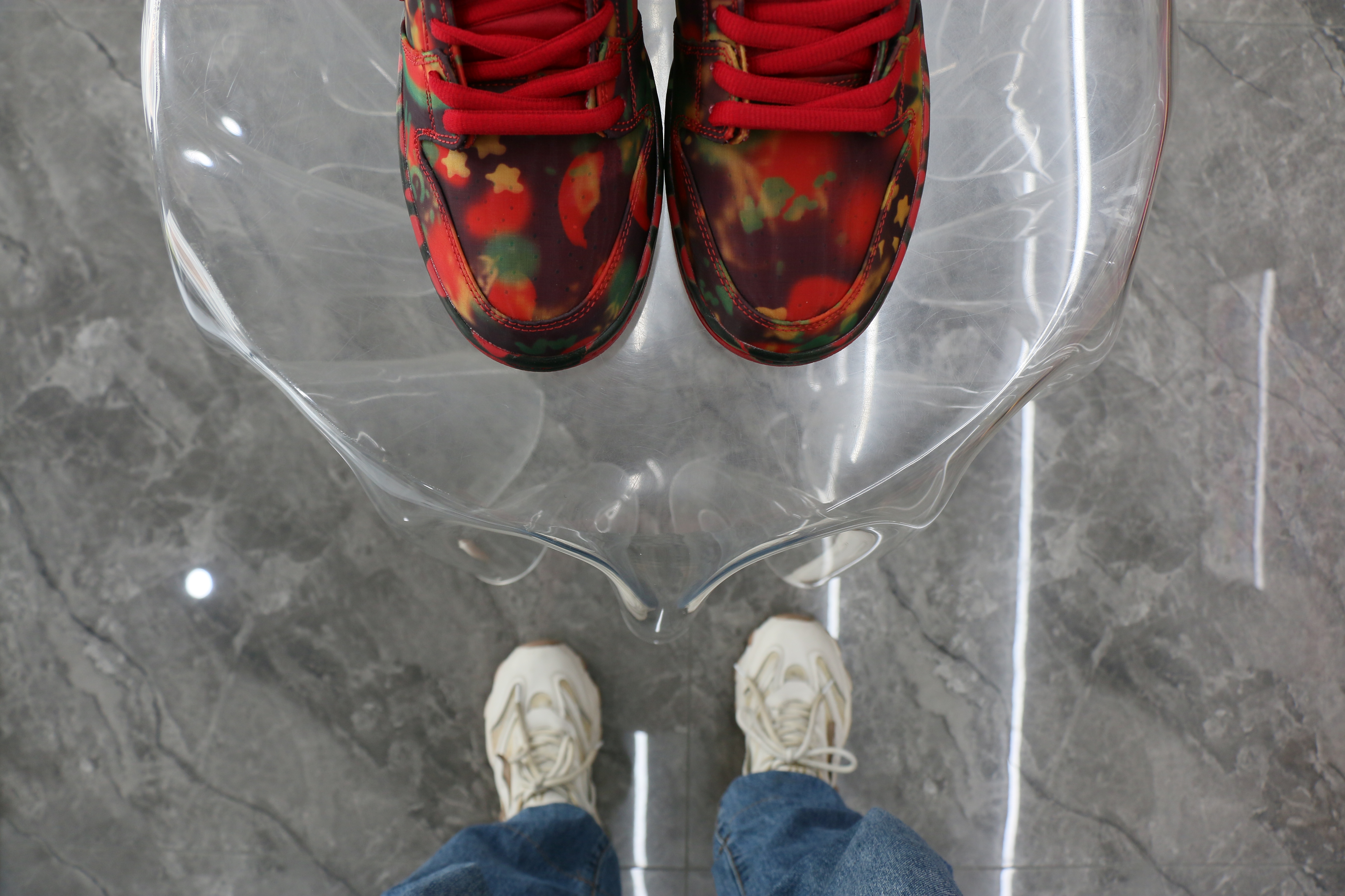 Nike SB Dunk Low The Wizard of Oz Poppy Field