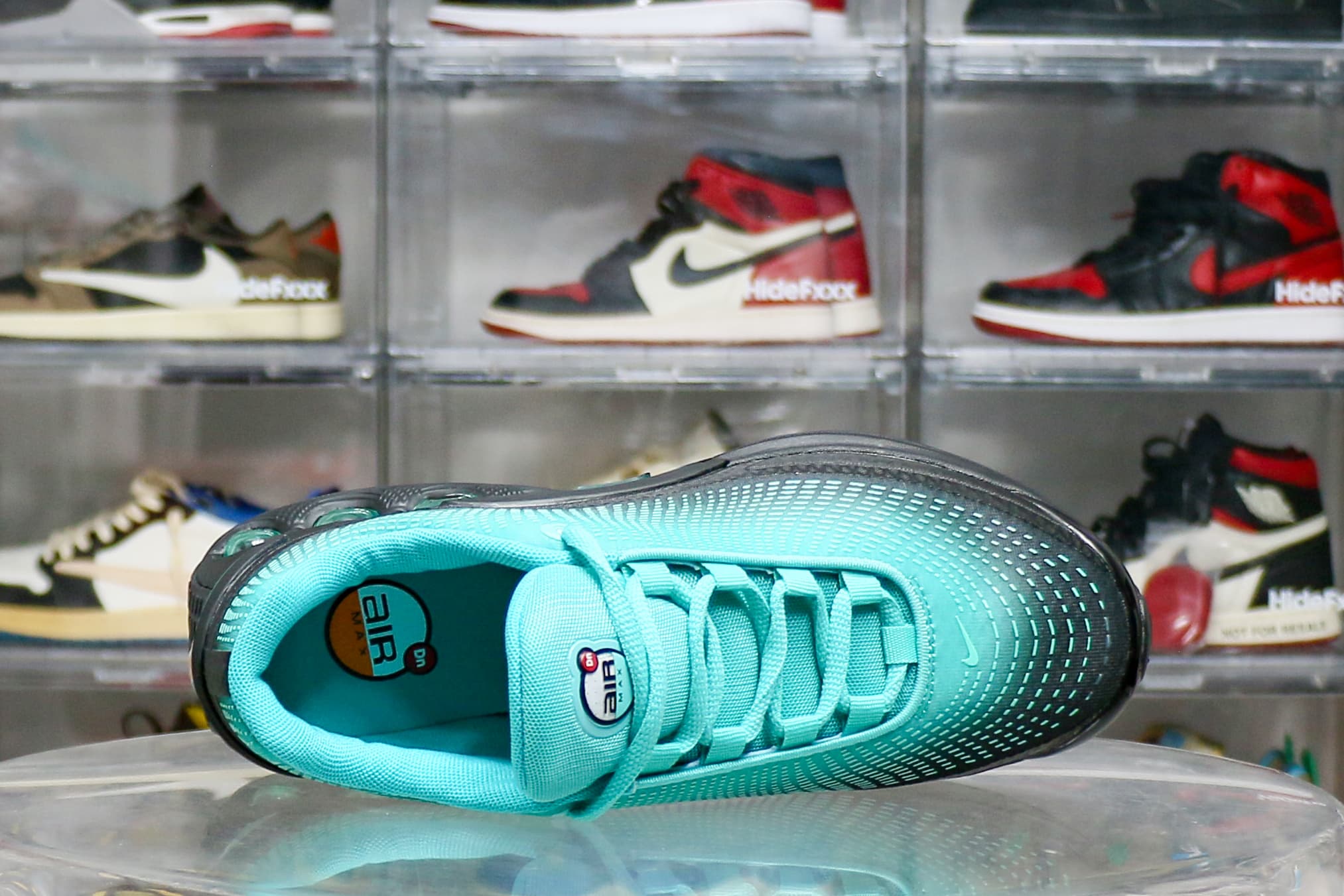 Nike Air Max Dn Premium Dusty Cactus Light Aqua Dynamic Turquoise Black