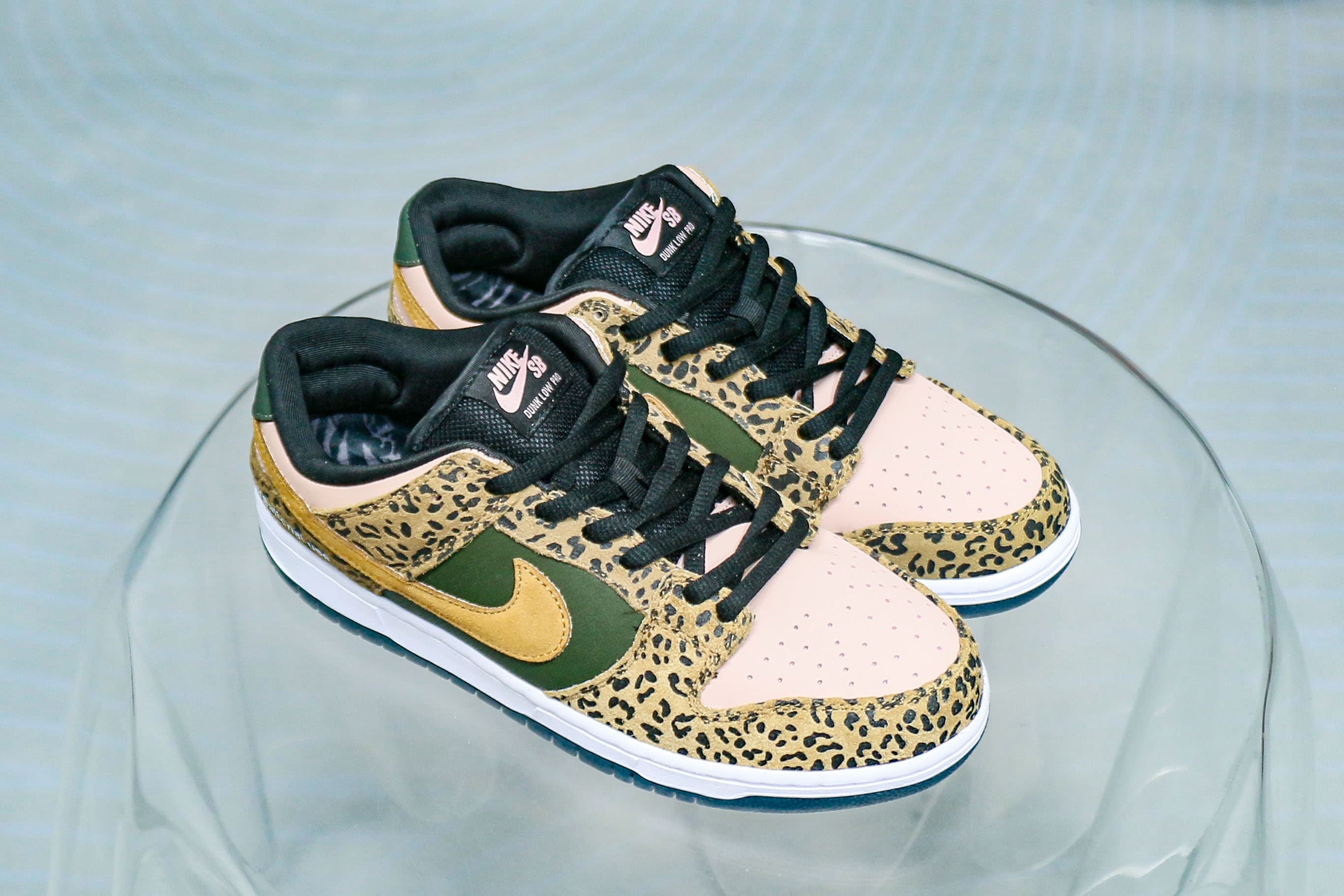 Arts Rec X Dunk Low SB For Recreational Use
